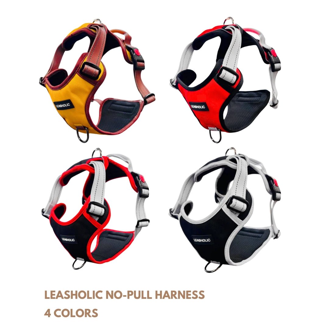 No Pull Dog Harness
