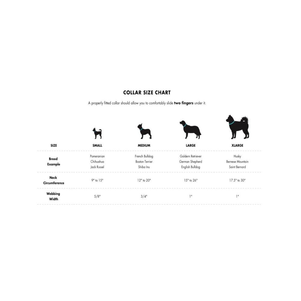 Ikonic Dog Collar - Image 22