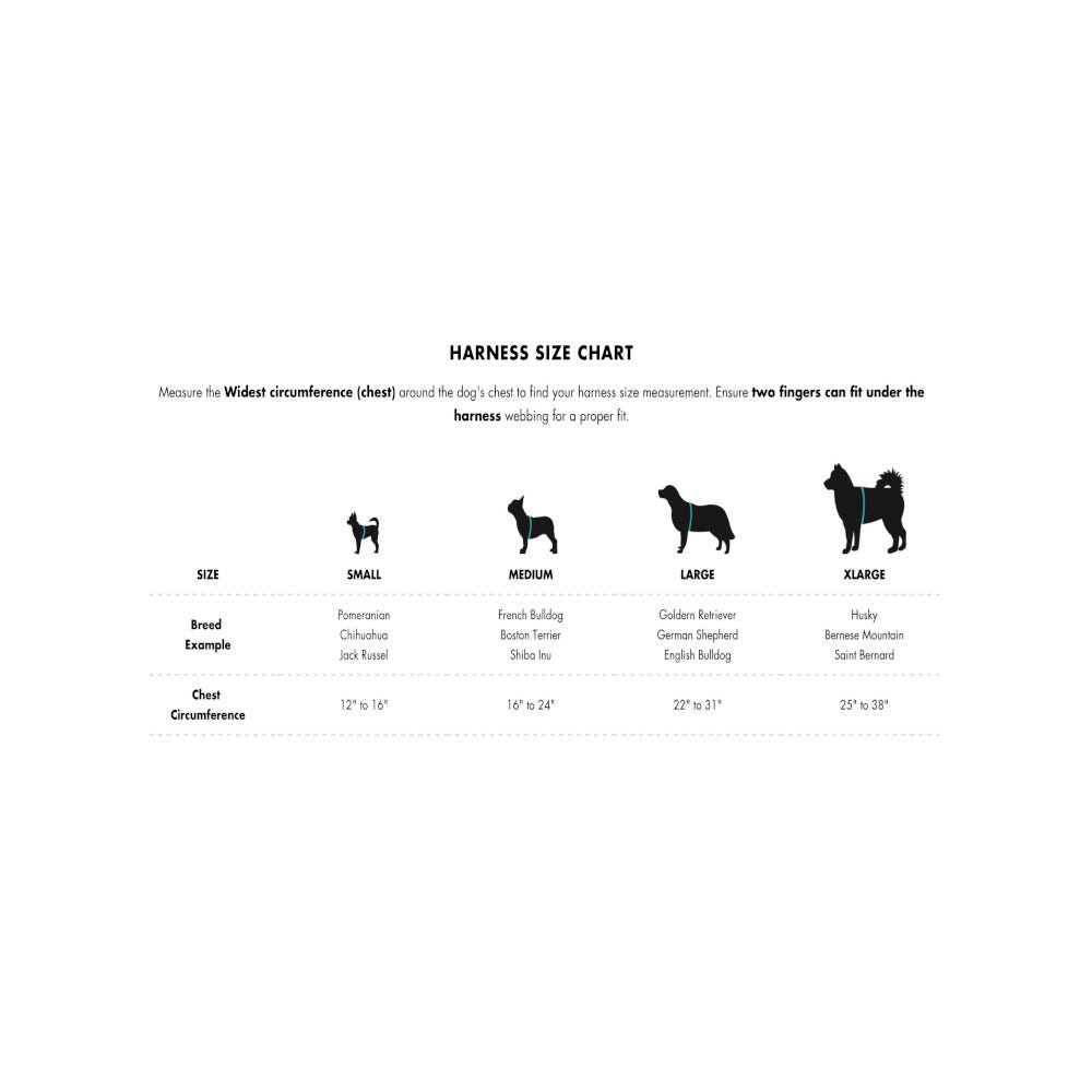 Ikonic Step-In Dog Harness - Image 22