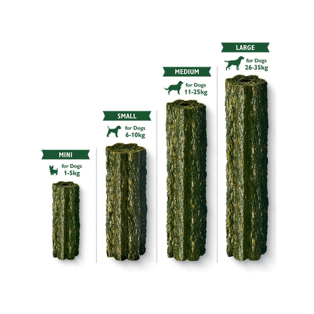 Woofbrush Dental Chew Dog Treats - Image 4