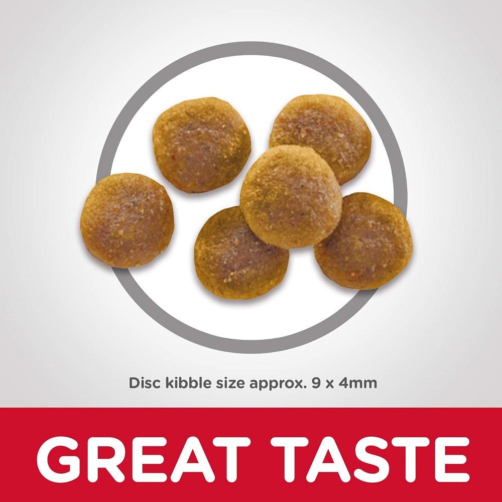 Science Diet - Everyday Diet Chicken Recipe for Adult 1-6 Cat Dry Food - Image 4
