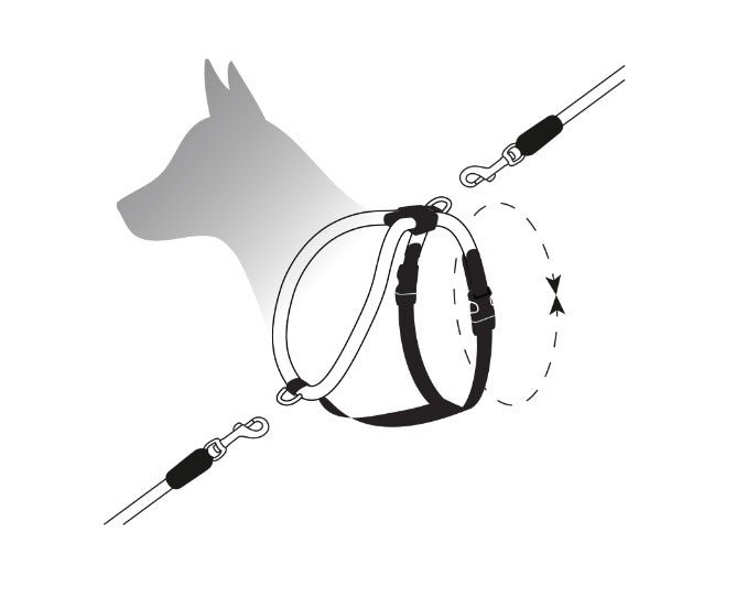 Leisure Rope Adjustable Dog Harness - Image 6
