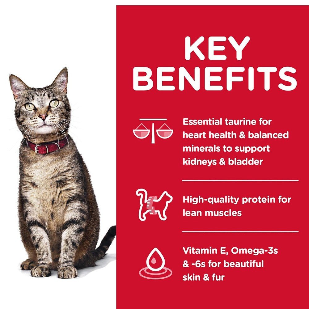 Science Diet - Everyday Diet Chicken Recipe for Adult 1-6 Cat Dry Food - Image 3