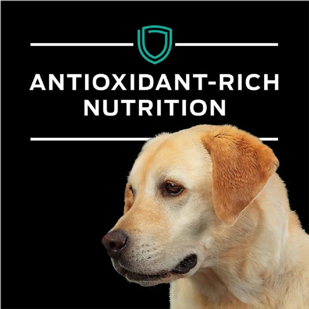 Pro Plan Veterinary Diets - EN Gastroenteric Naturals Dog Dry Food - Image 6