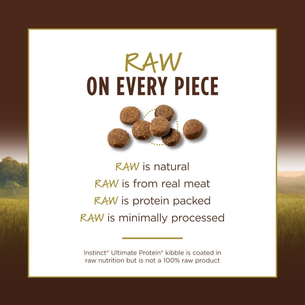 Ultimate Protein Adult Grain Free Chicken Cat Dry Food - Image 6