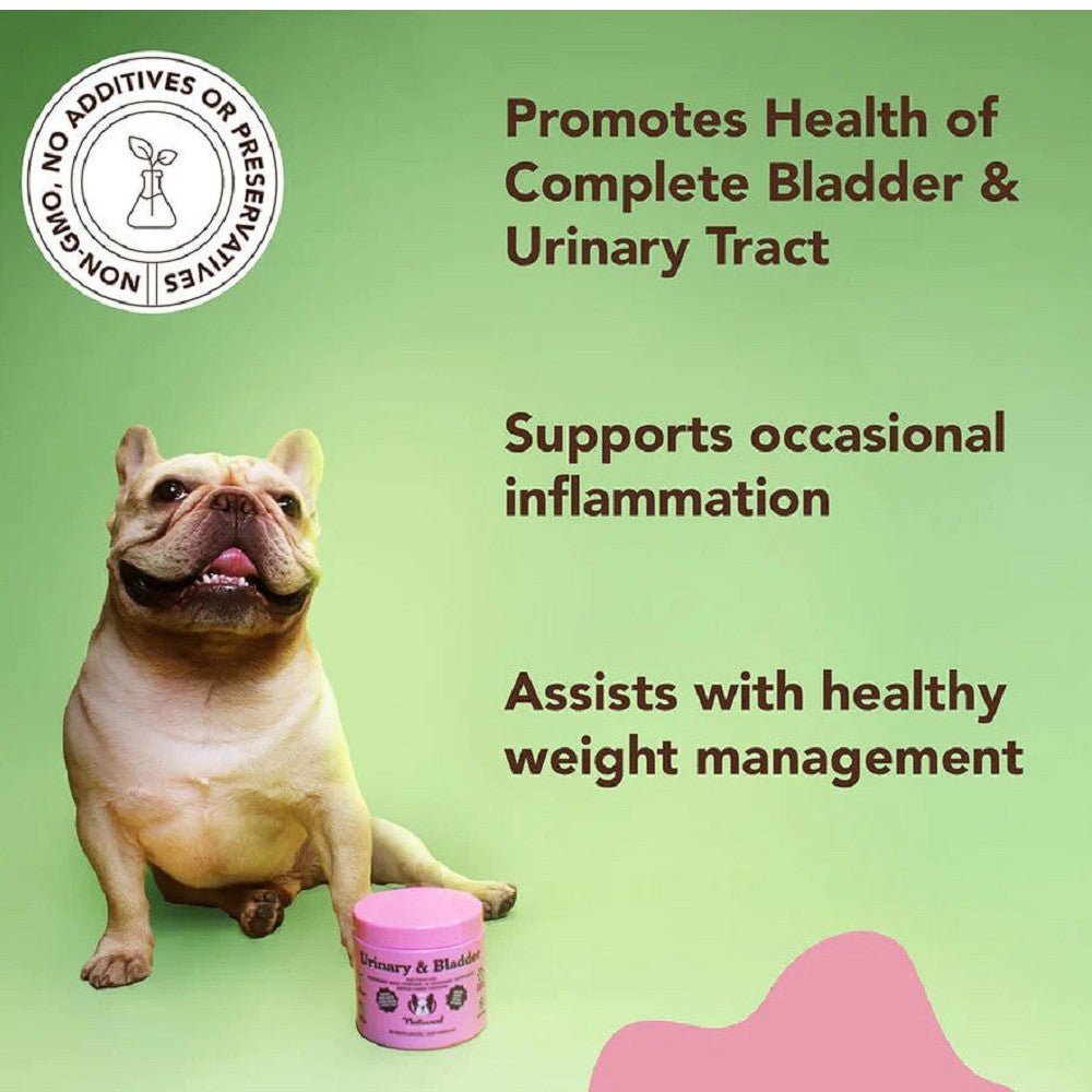 Urinary & Bladder Supplement for Dogs - Image 2