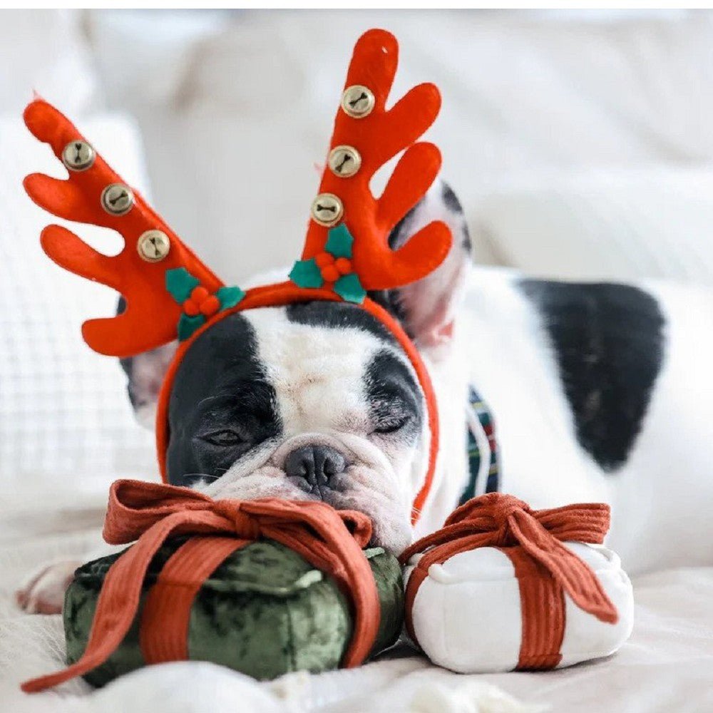 Holiday Box Squeaky Dog Toy - Image 4