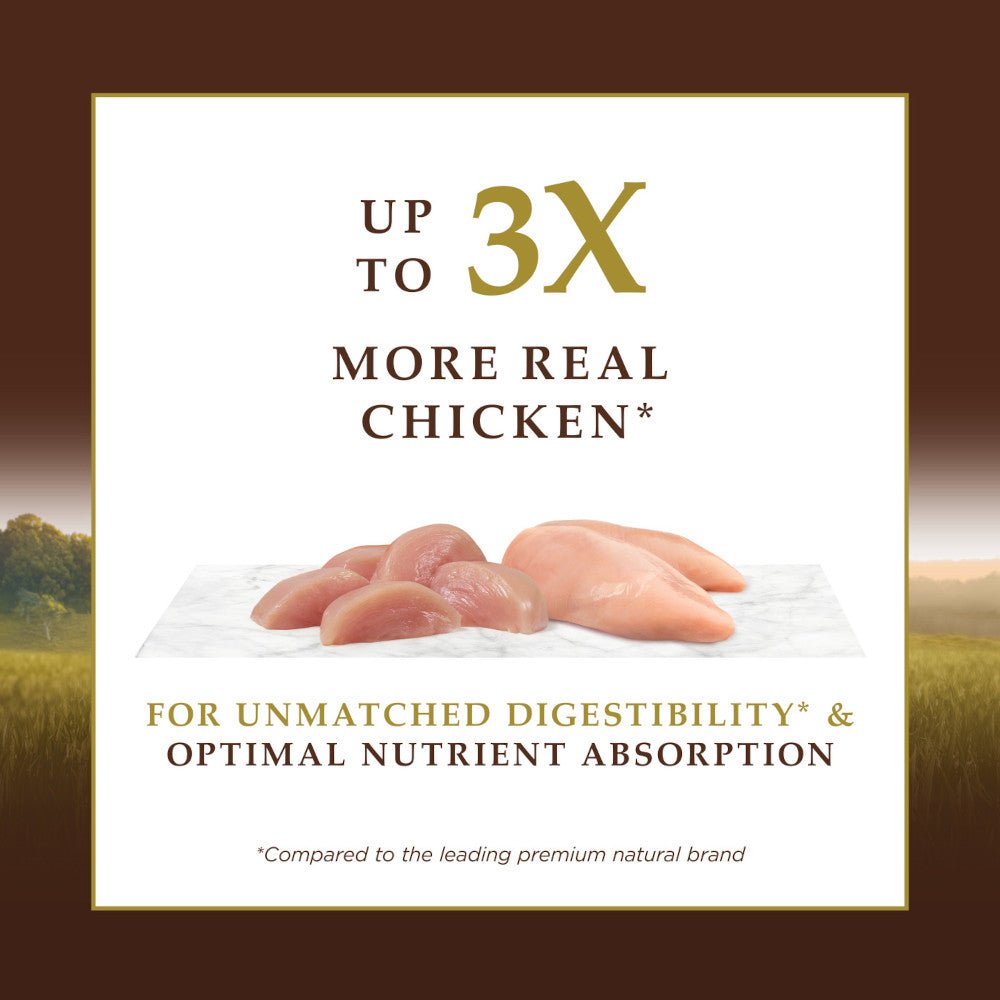 Ultimate Protein Adult Grain Free Chicken Cat Dry Food - Image 4