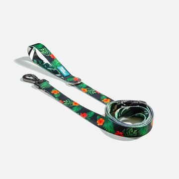 Ikonic Dog Leash - Image 11