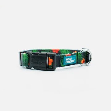 Ikonic Dog Collar - Image 11