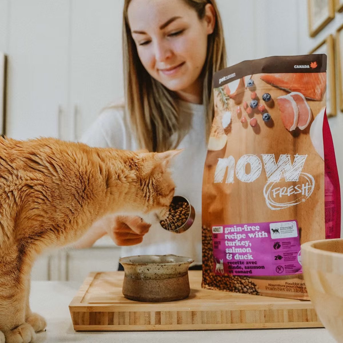 Grain Free Turkey Duck & Salmon Adult Cat Dry Food - Image 3