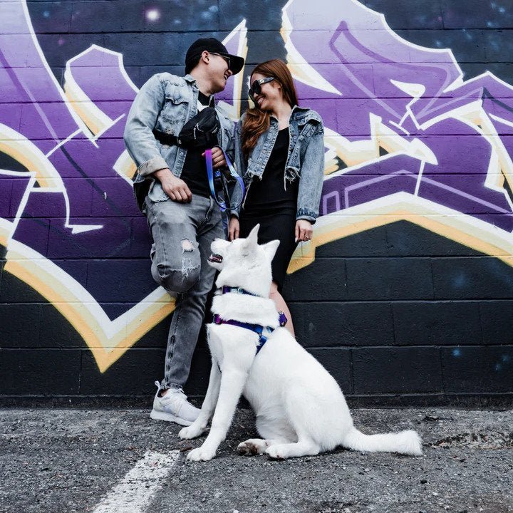 Ikonic Dog Leash - Image 24