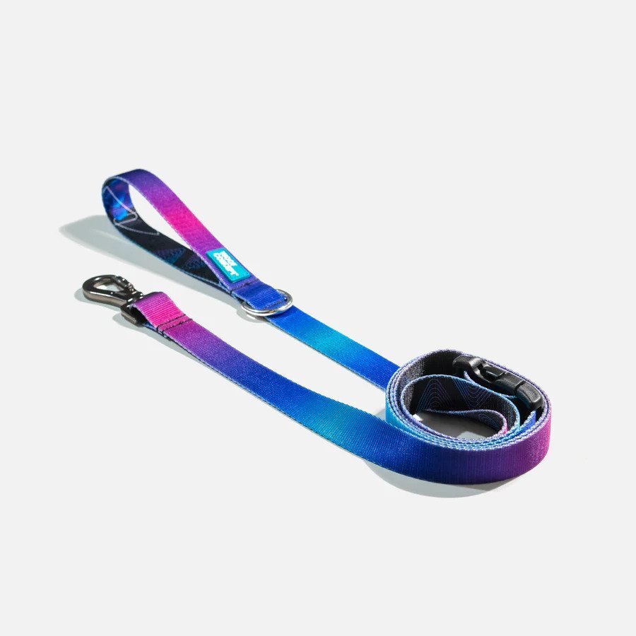 Ikonic Dog Leash - Image 12