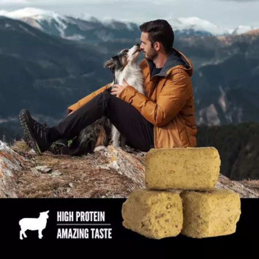 Freeze-Dried Lamb Dog Treats - Image 2