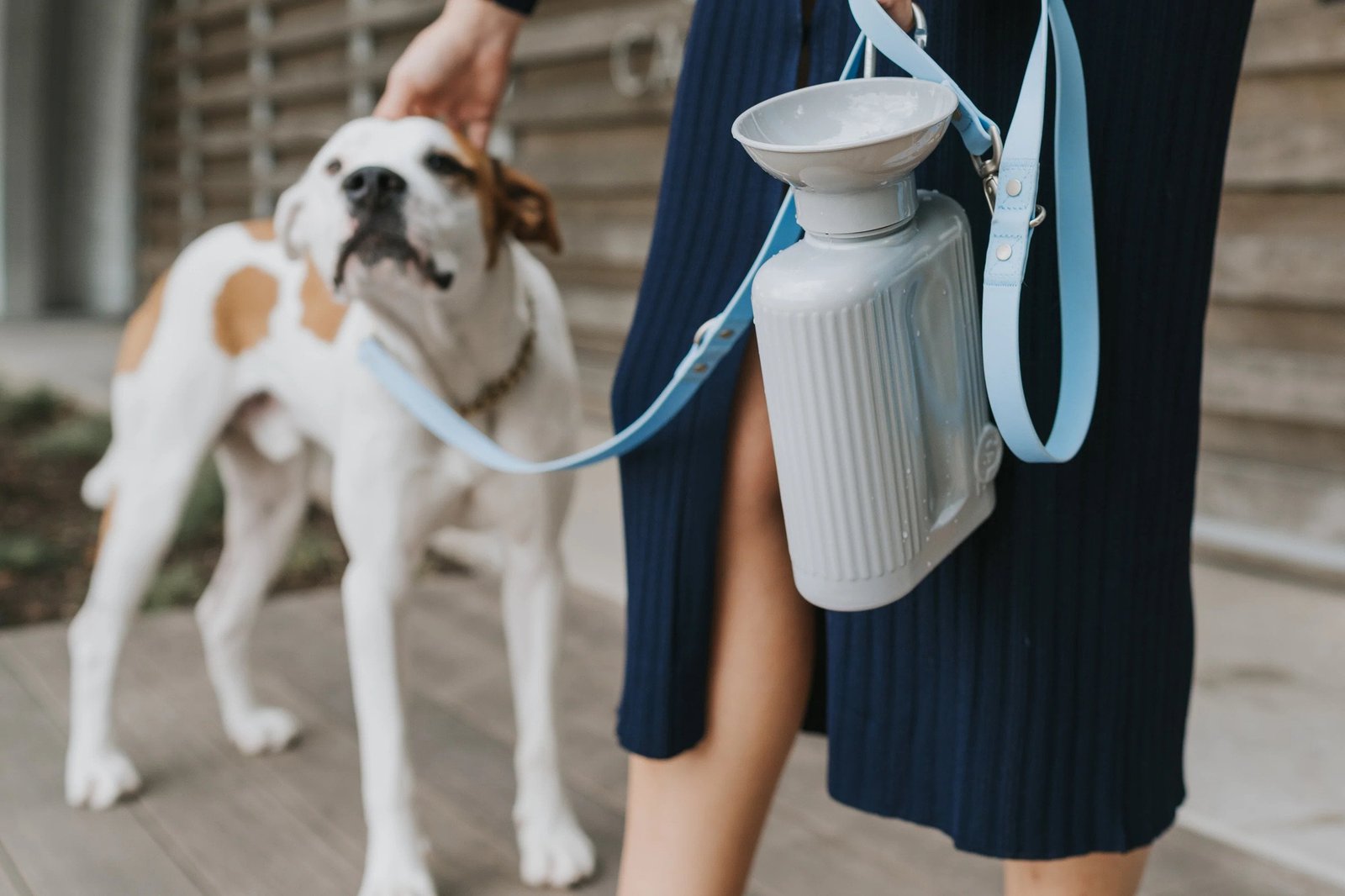 Classic Dog Travel Water Bottle - Image 13