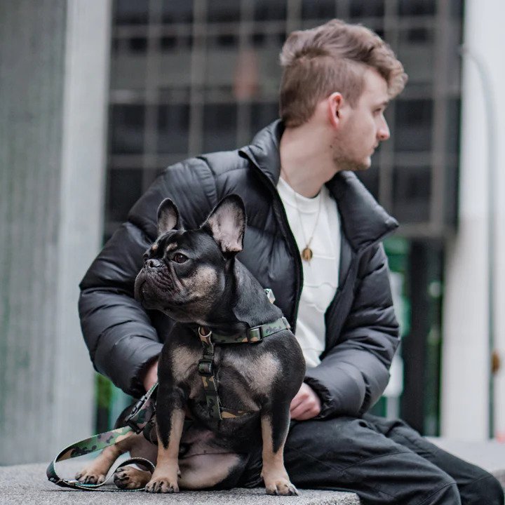 Ikonic Dog Leash - Image 28