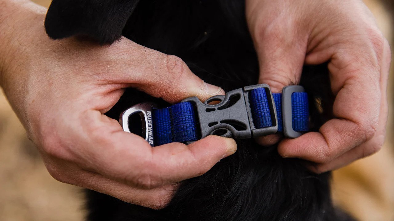 Front Range Dog Collar - Image 13
