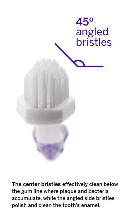 Dog & Cat Toothbrush - Image 3