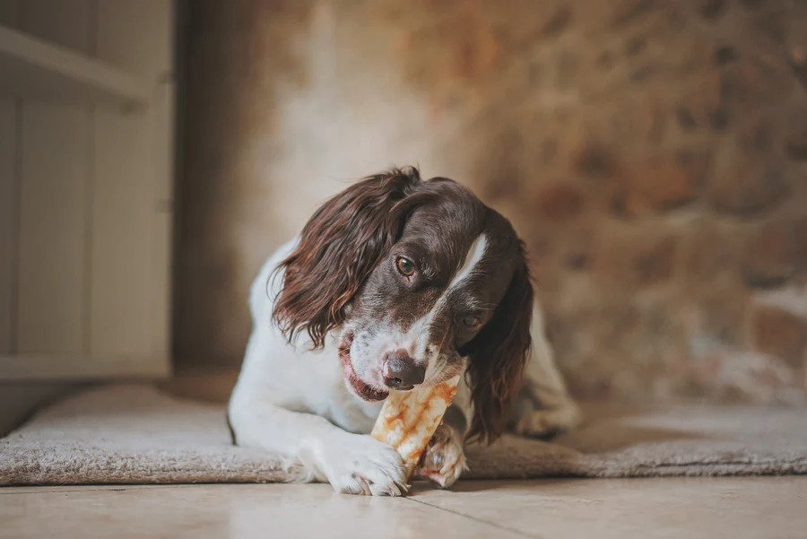 No Hide Peanut Butter Dog Chew - Image 5