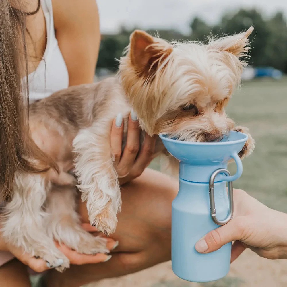 Classic Dog Travel Water Bottle - Image 15