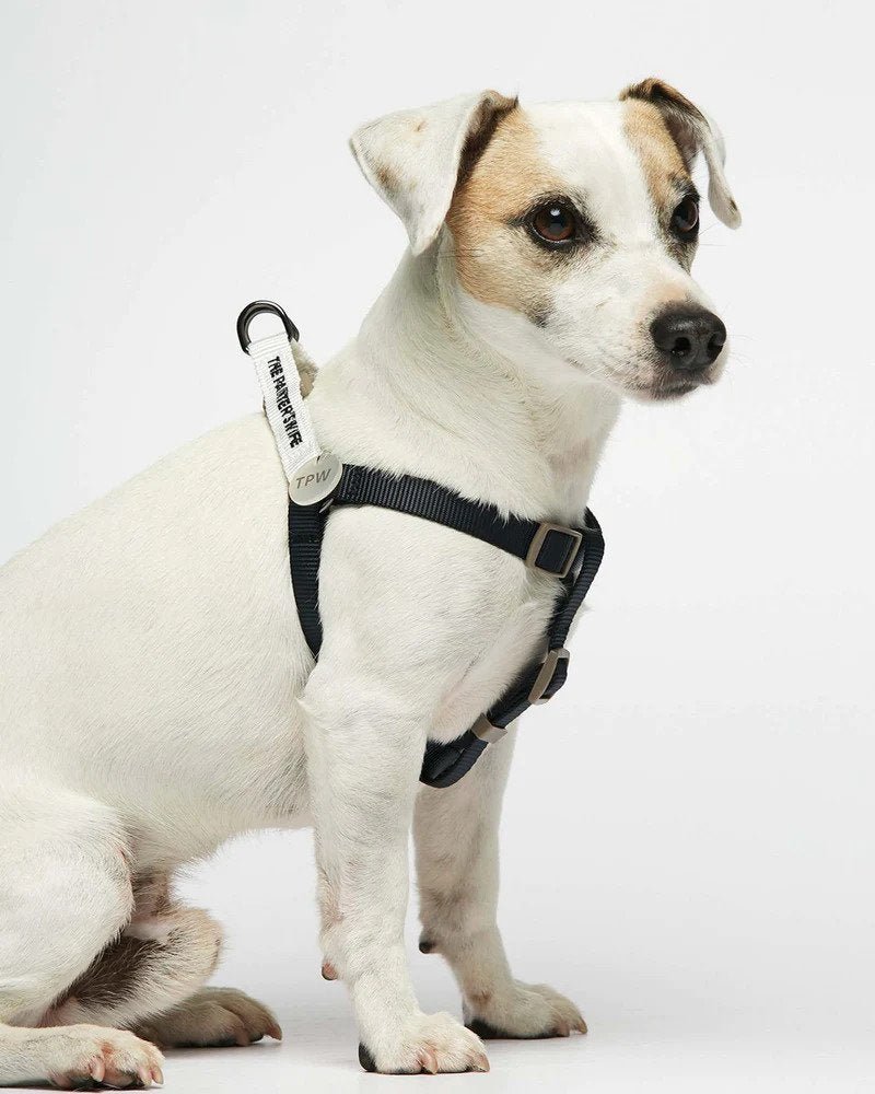 Sonia Dog Harness - Image 6