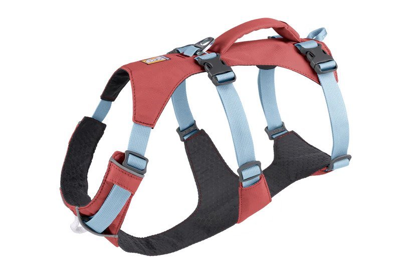 Flagline Dog Harness - Image 6