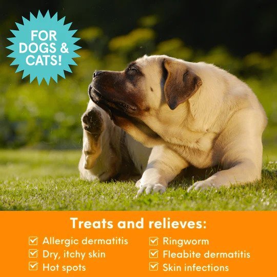 Antimicrobial Medicated Shampoo for Dogs & Cats - Image 3