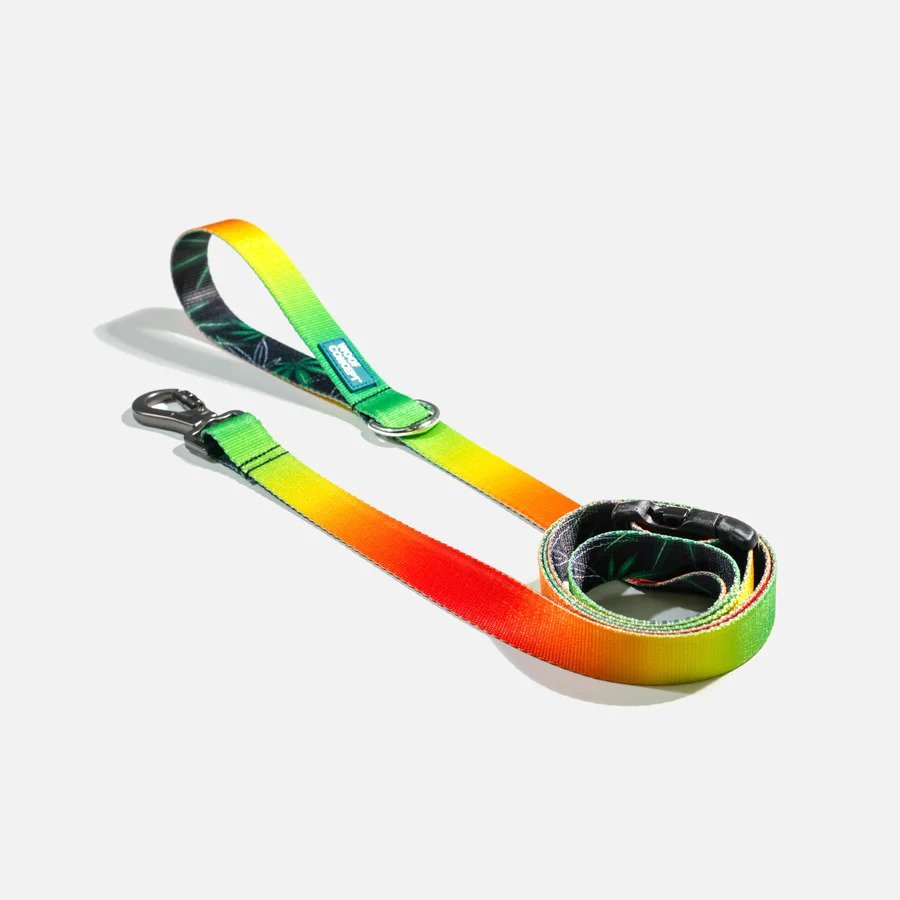 Ikonic Dog Leash - Image 4