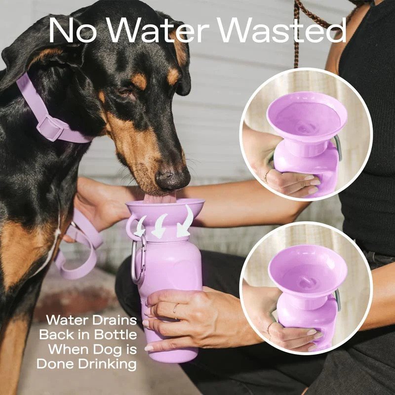 Classic Dog Travel Water Bottle - Image 17