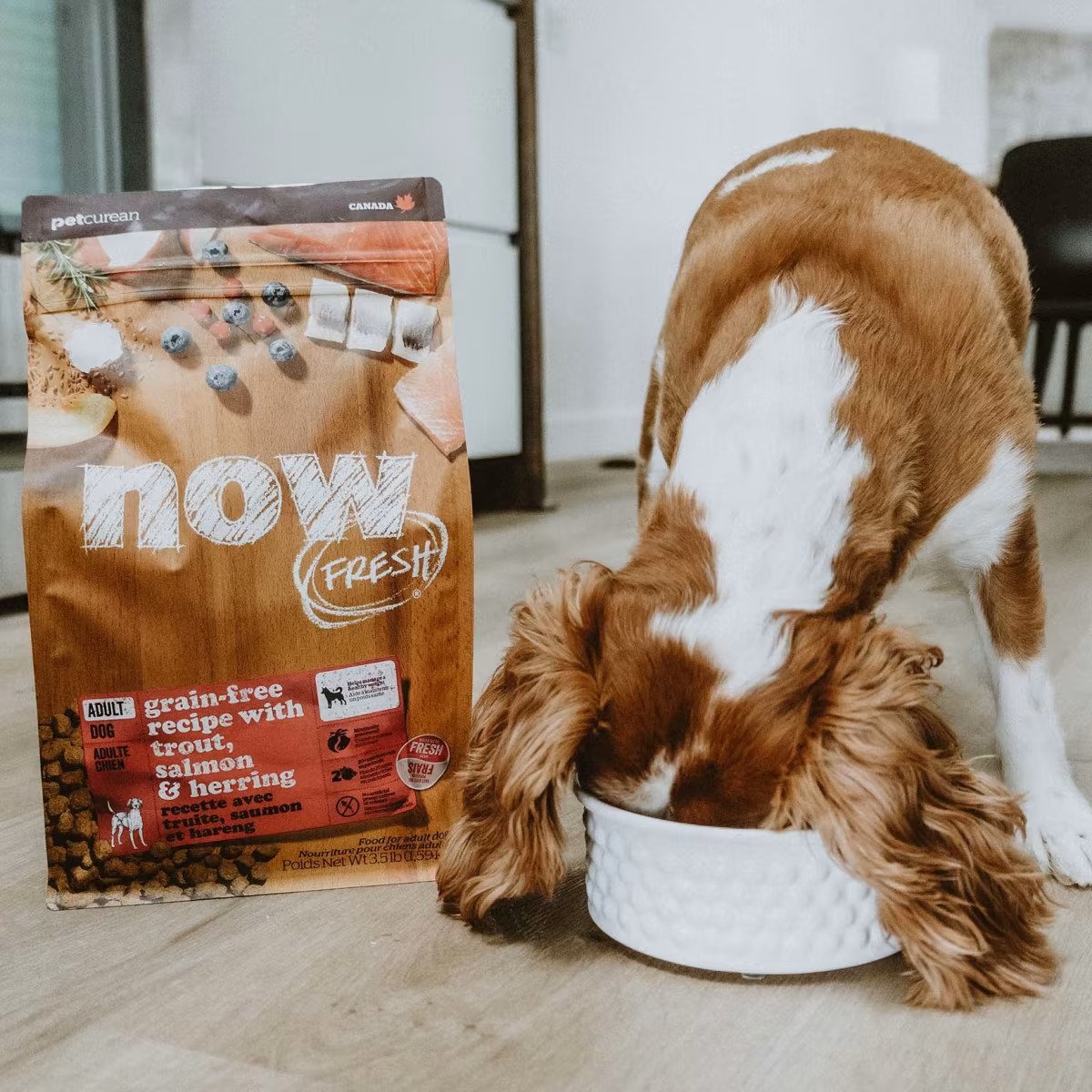 Adult Grain Free Trout & Salmon & Herring Dog Dry Food - Image 2