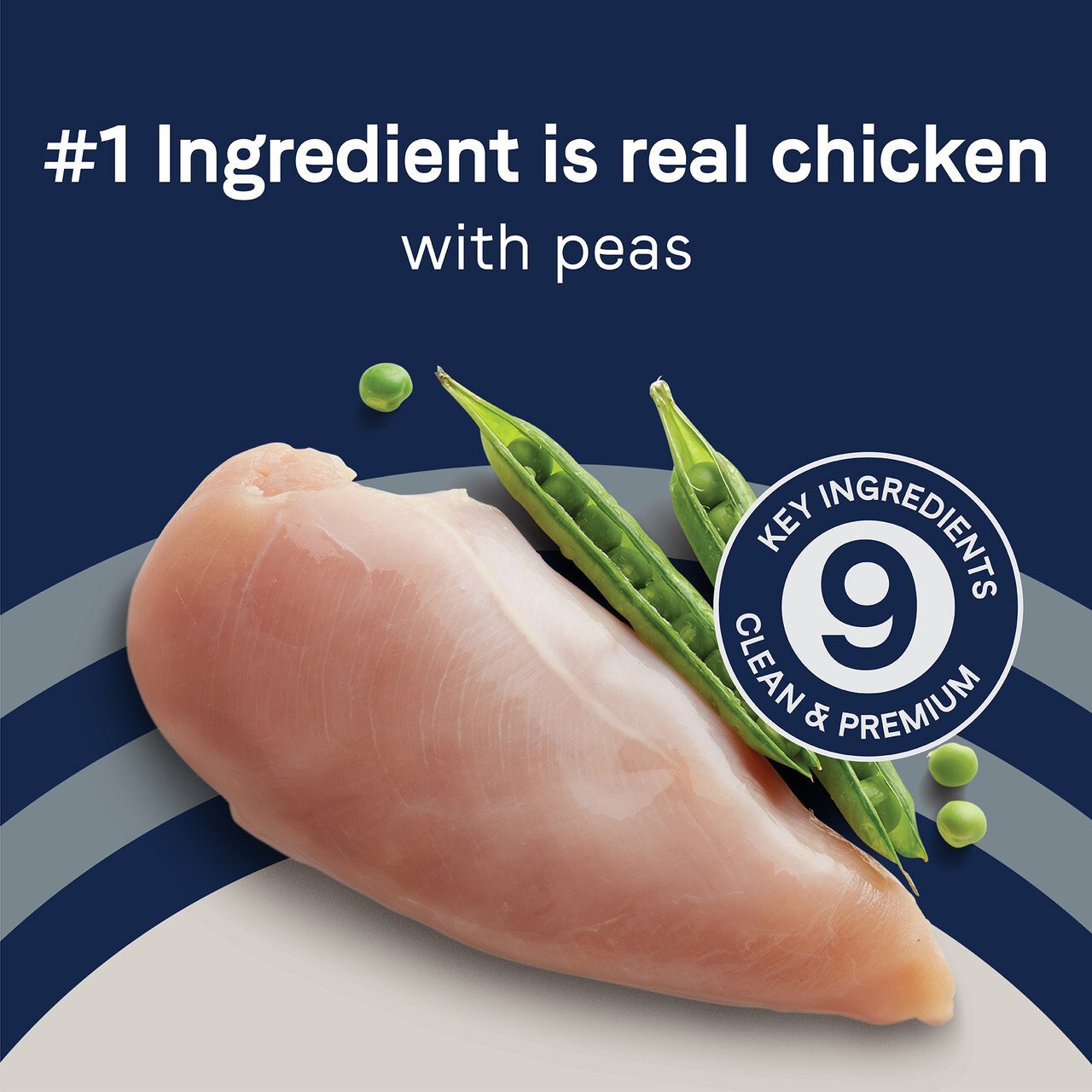 PURE Weight Management Grain Free Dog Dry Food - Chicken & Pea - Image 3