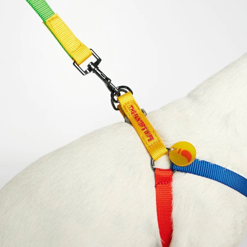 Sonia Dog Harness - Image 7