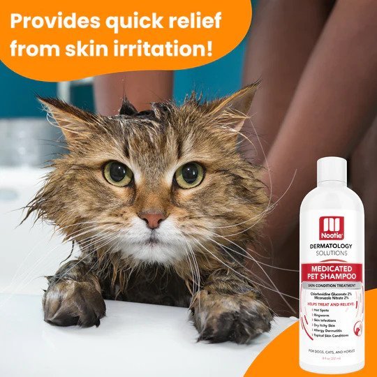 Antimicrobial Medicated Shampoo for Dogs & Cats - Image 5
