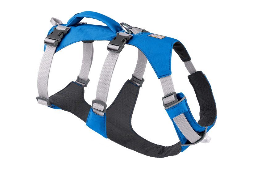 Flagline Dog Harness - Image 7
