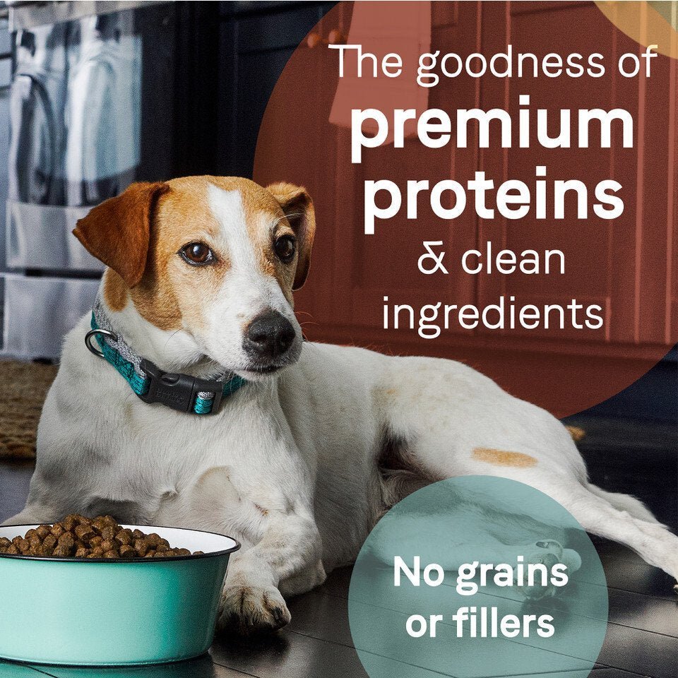PURE Weight Management Grain Free Dog Dry Food - Chicken & Pea - Image 4