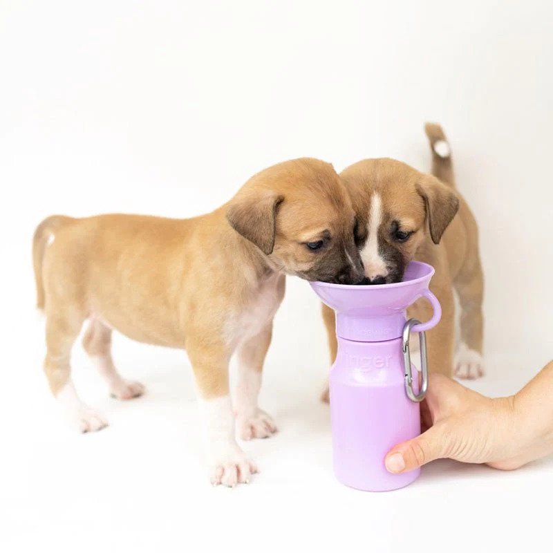 Classic Dog Travel Water Bottle - Image 14