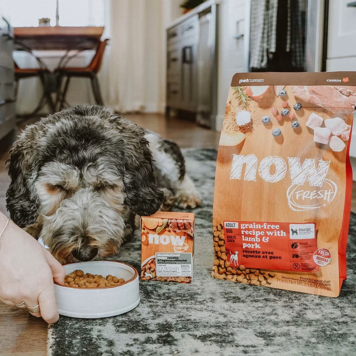 Adult Grain Free Lamb & Pork Dog Dry Food - Image 2