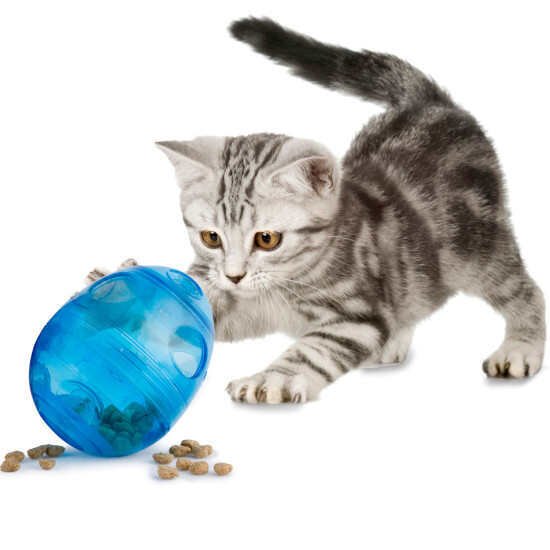 Egg-Cersizer Cat Feeder Toy - Image 2