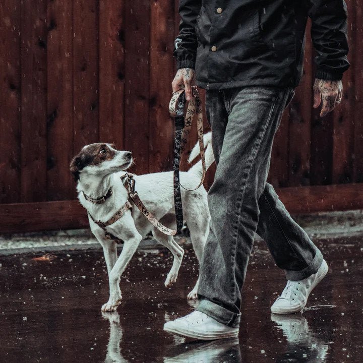 Ikonic Step-In Dog Harness - Image 20