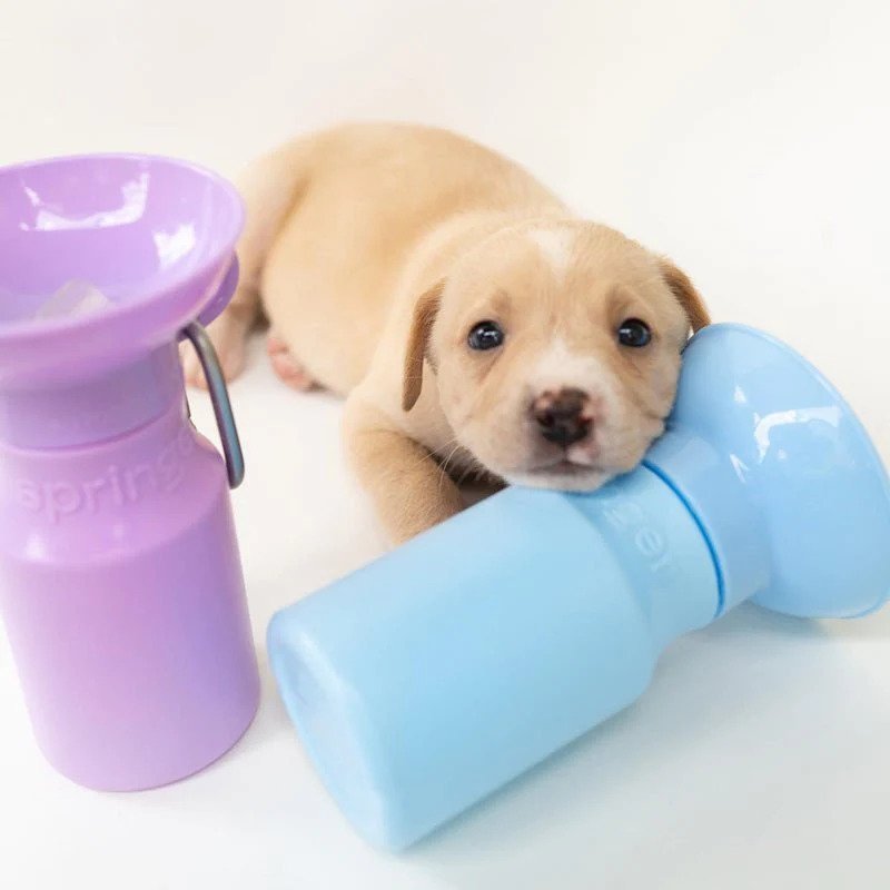 Classic Dog Travel Water Bottle - Image 12