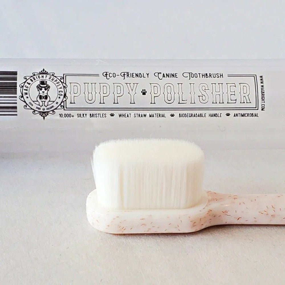 Puppy Polisher Biodegradable Regular Toothbrush for Dogs - Image 4