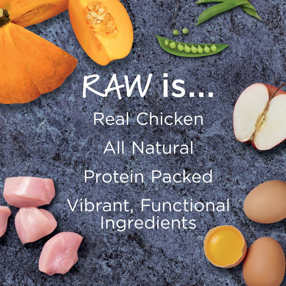 Raw Boost Gut Health Grain Free Kibble + Raw Adult Dog Dry Food - Chicken - Image 5