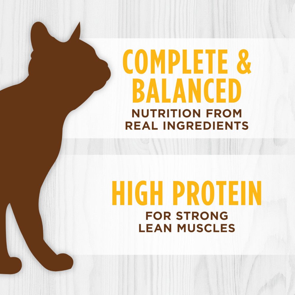 All Life Stages Original Grain Free Chicken Cat Can - Image 4