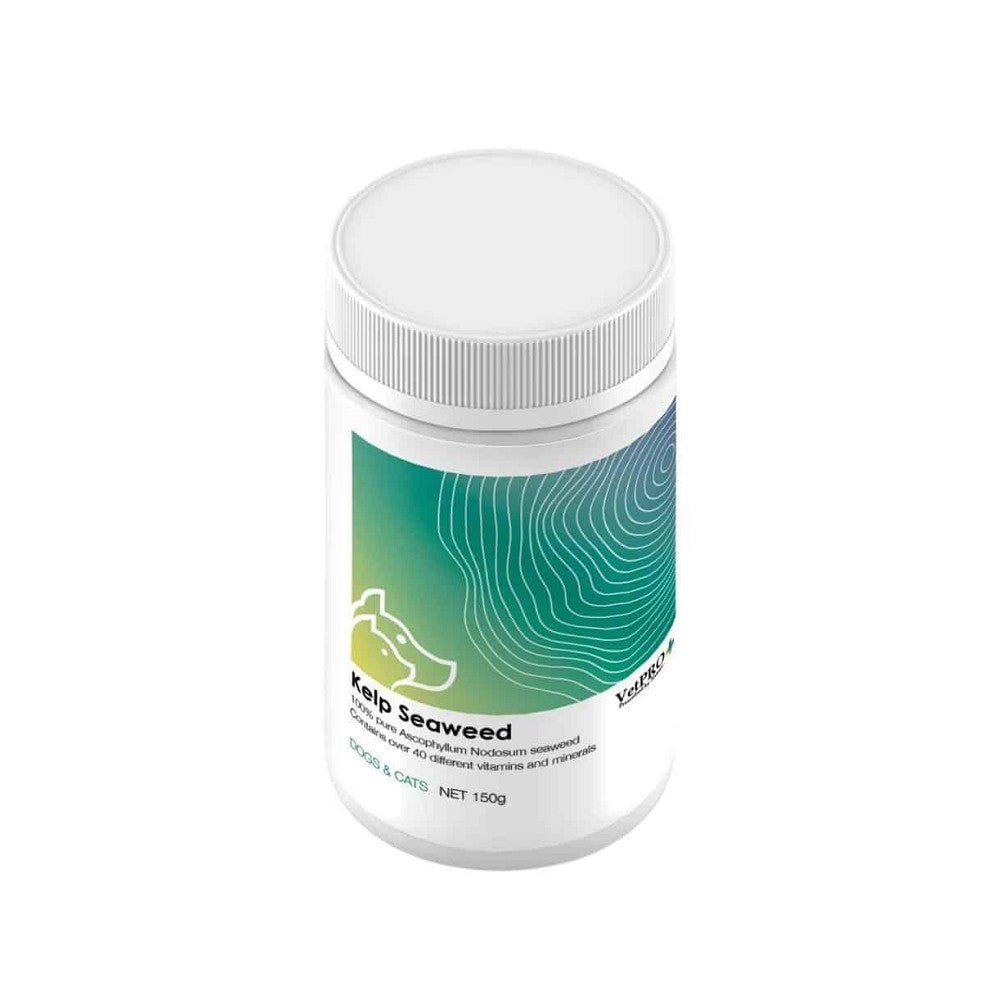Kelp Seaweed Supplement for Dogs and Cats