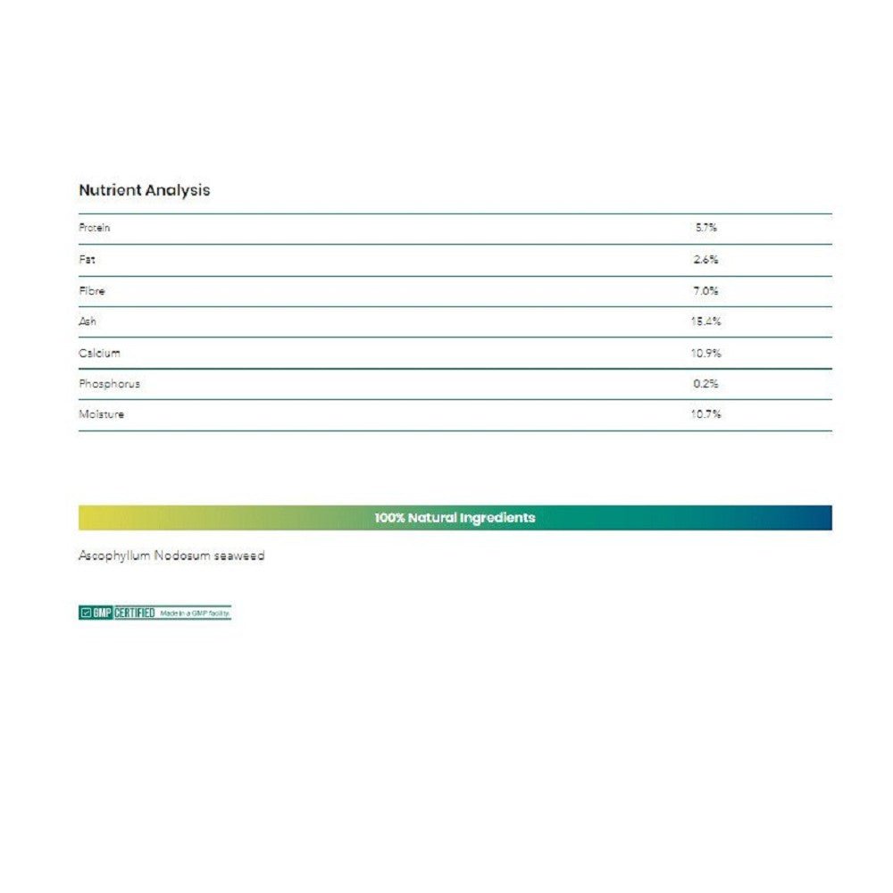 Kelp Seaweed Supplement for Dogs and Cats - Image 4