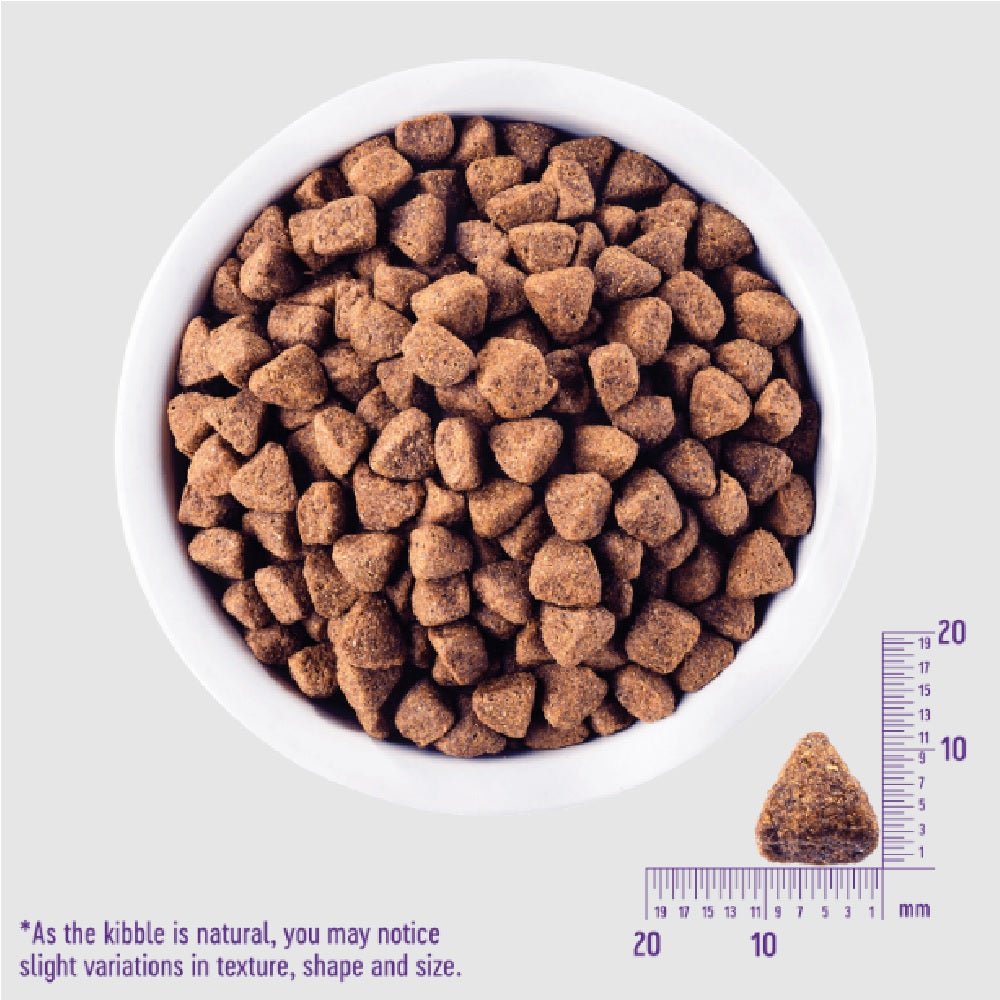 CORE Healthy Weight Turkey Adult Dog Dry Food - Image 10