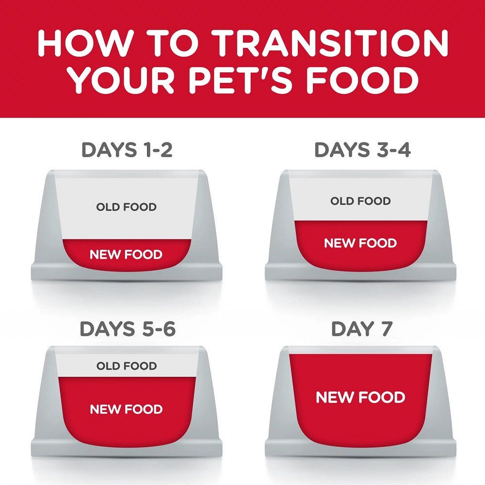Science Diet - Everyday Diet Chicken Recipe for Kitten Cat Dry Food - Image 5