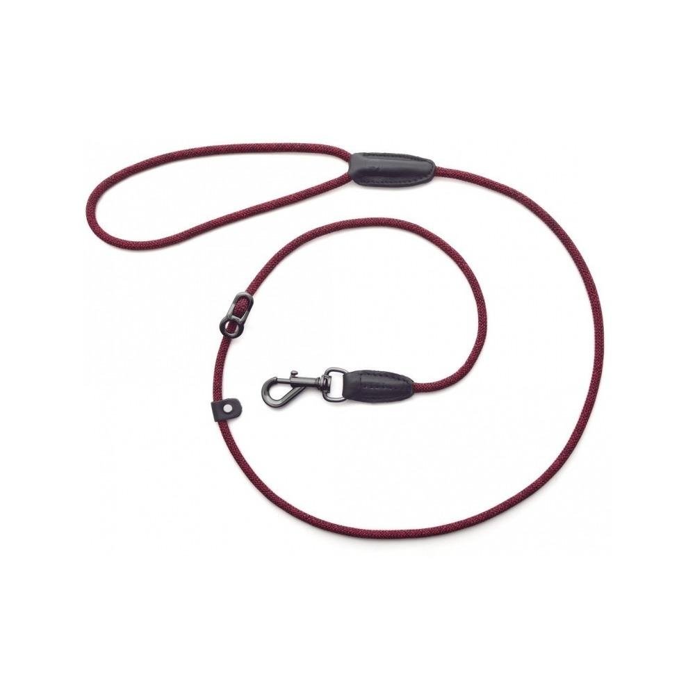 Metro Collar & Slip Leash - Image 12