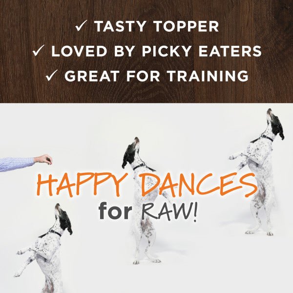 Raw Boost All Life Stages Freeze - Dried All Natural Beef Raw Mixers For Dogs - Image 5
