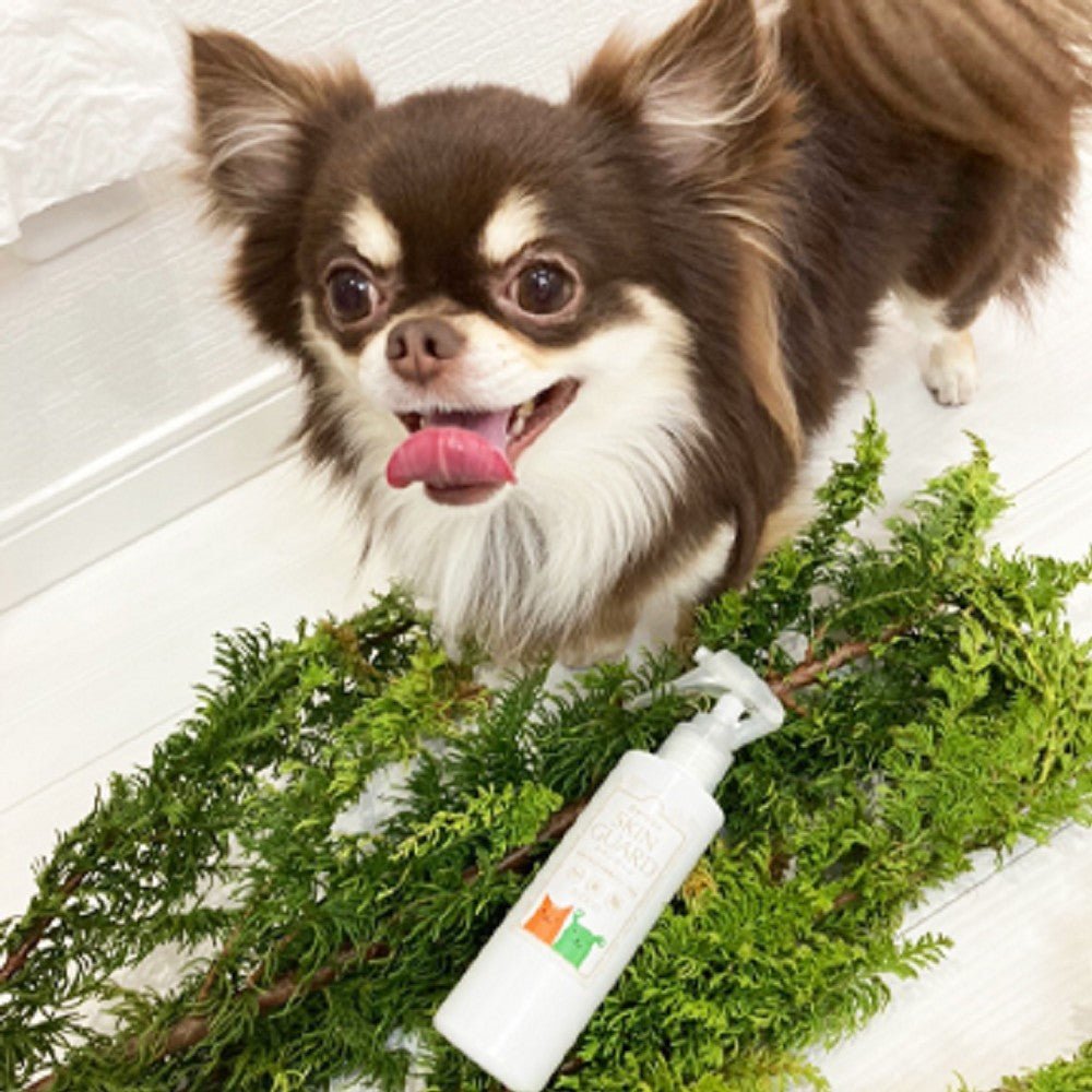 Natural Flea with Tick Spray for Dogs & Cats - Image 3